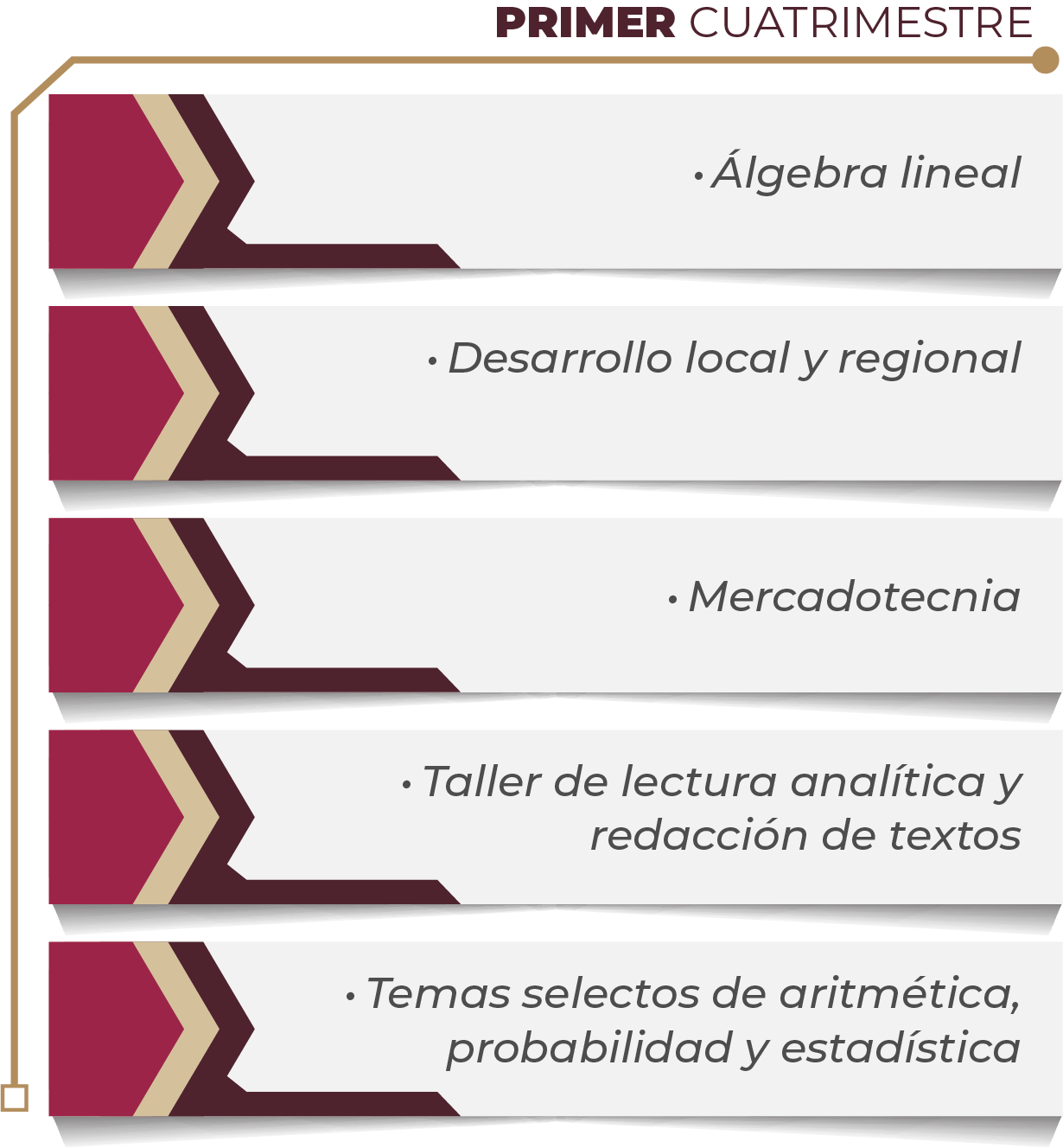 MAPA CURRICULAR GESTIÓN